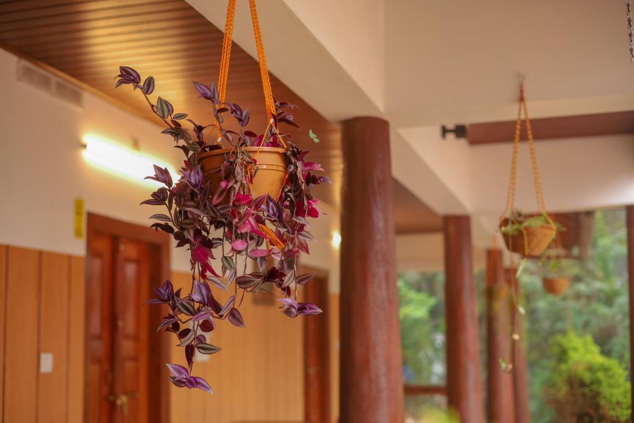 Swastha Plantation Homestay Kaniyāmbetta Exterior photo