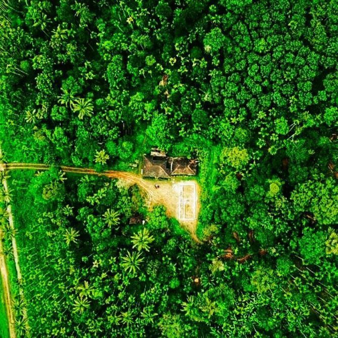 Swastha Plantation Homestay Kaniyāmbetta Exterior photo